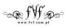 Fvf Foto-Video Flash