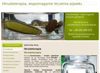 Strona internetowa z Eko-Hir