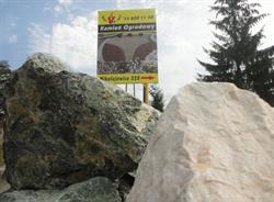 Ban-Kor-Bet Tarnów