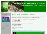 Strona internetowa z PSYCHOTESTY SZCZECIN. CENTRUM USŁUG PSYCHOLOGICZNYCH