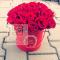 Flowerbox-Agawa-Katowice