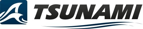 Tsunami Internet