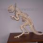 Dino