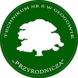 Technikum Nr 6 W Głogowie