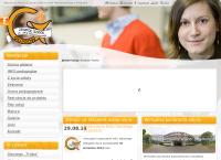 Strona internetowa z Zespół Szkół W Głogowie