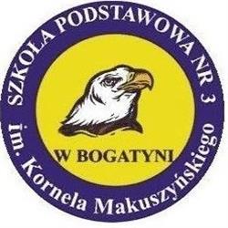 Publiczna Szkoła Podstawowa Nr 3