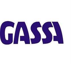 Autorskie Gimnazjum Samorozwoju Gassa