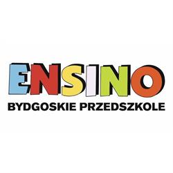 Niepubliczne Przedszkole "ensino"