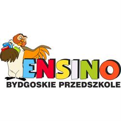 Niepubliczne Przedszkole "ensino"