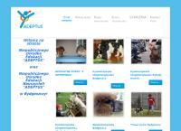 Niepubliczy Ośrodek Edukacji "adeptus"