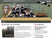 Centrum Wyszkolenia Strzeleckiego