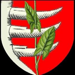 Szkoła Podstawowa