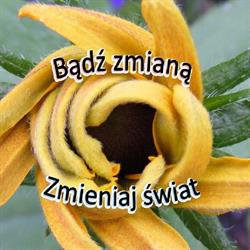 Szkoła Podstawowa im m. Rataja W Karczmiskach