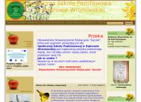 Społeczna Szkoła Podstawowa W Dąbrowie Wronowskiej