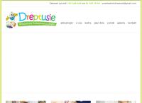 Strona internetowa z Niepubliczne Przedszkole \"dreptusie\"
