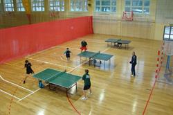 Powiatowy Międzyszkolny Ośrodek Sportowy