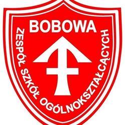 Zespół Szkół Ogólnokształcących W Bobowej