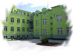 Zespół Szkół Nr 1 im Szarych Szeregów