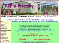 Publiczna Szkoła Podstawowa W Brzeźnicy