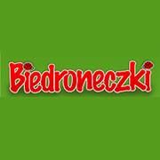 Przedszkole Biedroneczki