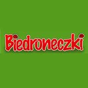 Przedszkole Biedroneczki