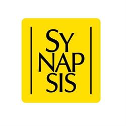 Pierwsze Niepubliczne Przedszkole Terapeutyczne Fundacji Synapsis