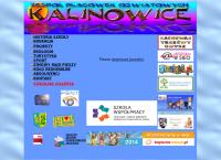 Zespół Placówek Oświatowych W Kalinowicach