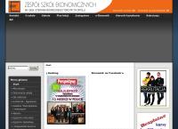 Strona internetowa z Zespół Szkół Ekonomicznych W Opolu