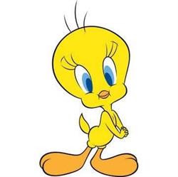 Niepubliczne Przedszkole \"tweety\" W Wielkim Klinczu