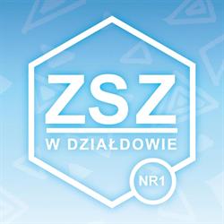 Zespół Szkół Zawodowych Nr 1
