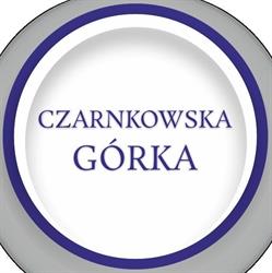 Zespół Szkół Ponadgimnazjalnych Im. Józefa Nojego W Czarnkowie