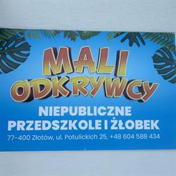 Niepubliczny Punkt Przedszkolny Mali Odkrywcy