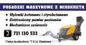 Dominex