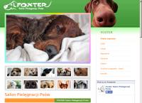 Foxter Salon Pielęgnacji Psów