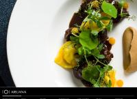 Strona internetowa z Aruana Restaurant