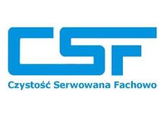 Pranie Dywanów i Tapicerki Samochodowej Łódź