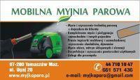 Mobilna Myjnia Parowa - Pranie Tapicerki i Dywanów