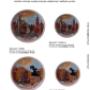 Katalog Warszawa