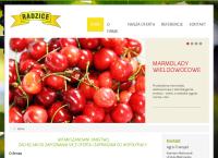Strona internetowa z Agro-Transpol Kazimierz Malinowski i Urszula Malinowska Spółka Jawna