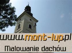 Malowanie dachów Mont-lup