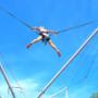 Euro bungee