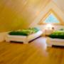 Apartament Tater Chata