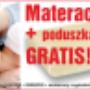 Hevea