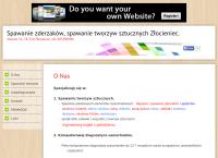 Strona internetowa z F.U.H. AGA PRZEMYSŁAW RADZEWICZ