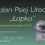 Salon Psiej Urody "ŁAPKA"