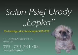 "ŁAPKA'' Salon strzyżenia i pielęgnacji psów
