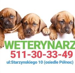 Gabinet Weterynaryjny "wetika"