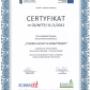 Trening siłowy w kinezyterapii „Nowoczesna Fizjoterapia - ..." (03.01.2012)