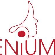 Centrum Ingenium