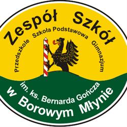 Zespół Szkół W Borowym Młynie